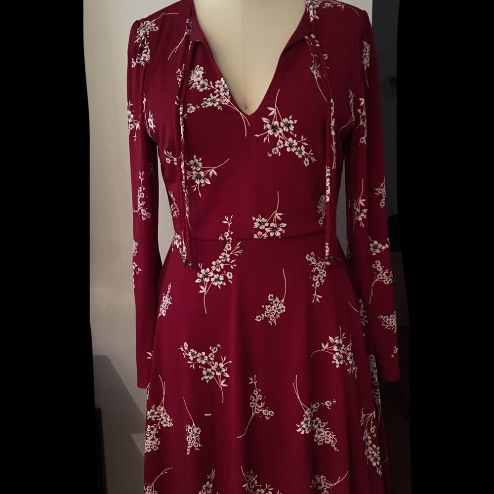 Fit and flare long sleeve dress